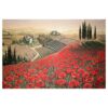Arazzo Papaveri "paesaggio" Toscano Atelier D'Oriente